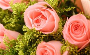 开云APP 开云官网入口各地工程施工进度加快推进 2023建筑行业发展现状及前景分析(图5)