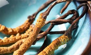 2023建筑工程的前景 未来建筑工程开云体育 开云平台行业市场运行分析(图4)