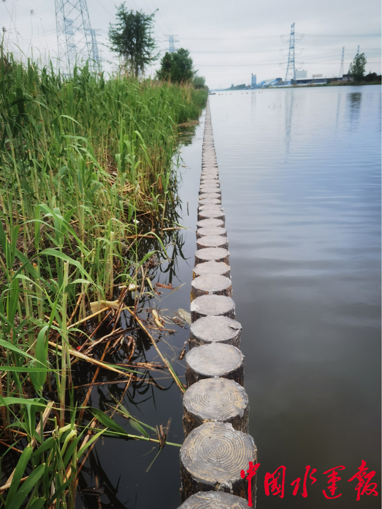 新江海河三标QC成果荣获全国市政协会一等奖开云APP 开云官网入口(图2)