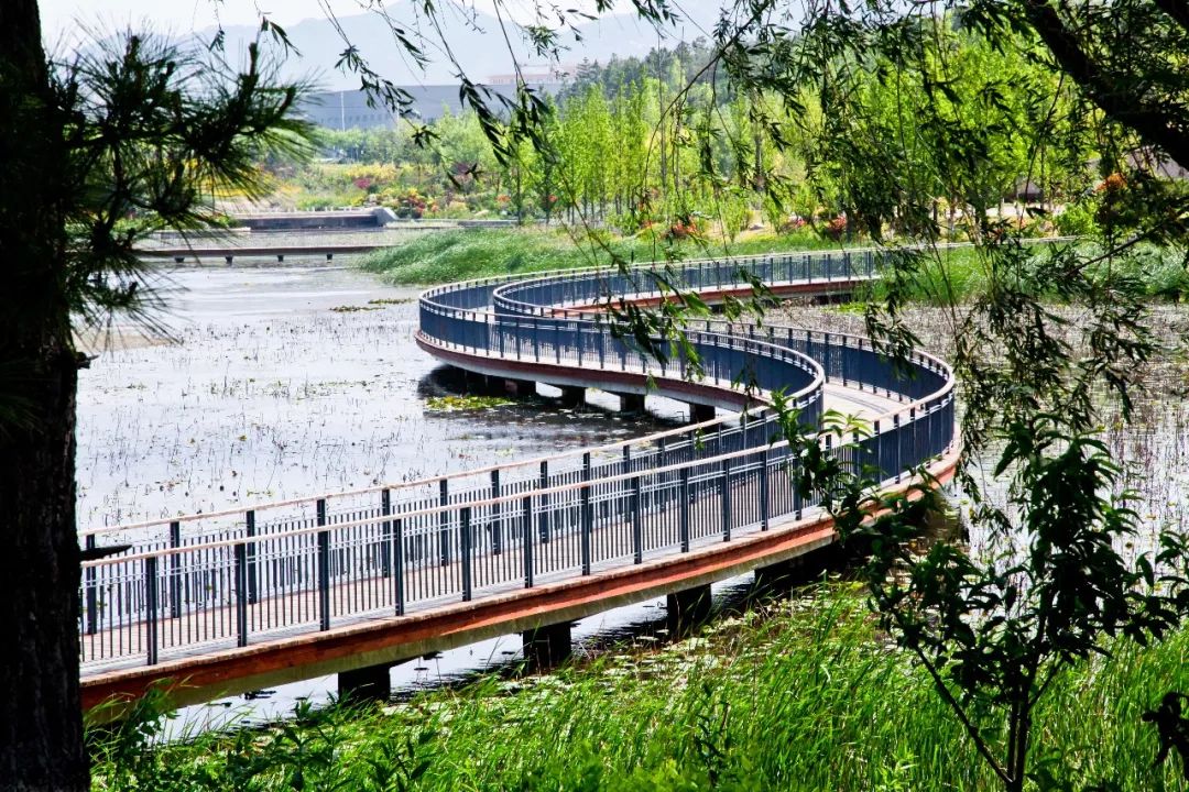 5大类38项市政重点工程助力临港区精致开云 开云体育官网城市建设(图7)