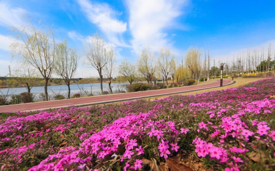 5大类38项市政重点工程助力临港区精致开云 开云体育官网城市建设(图10)