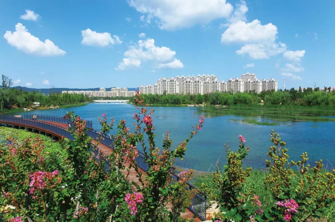 5大类38项市政重点工程助力临港区精致开云 开云体育官网城市建设(图9)