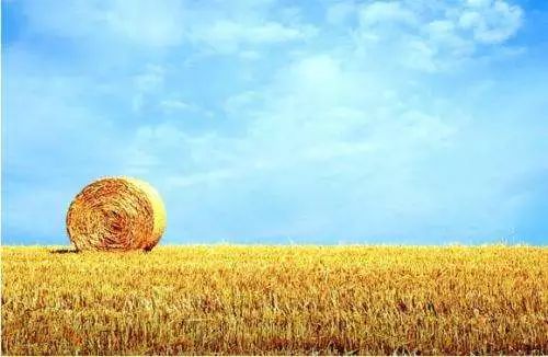 开云体育 开云平台大学各专业就业方向大揭秘!你报的专业以后是干嘛的?(图5) 开云体育 开云平台大学各专业就业方向大揭秘!你报的专业以后是干嘛的?(图5)