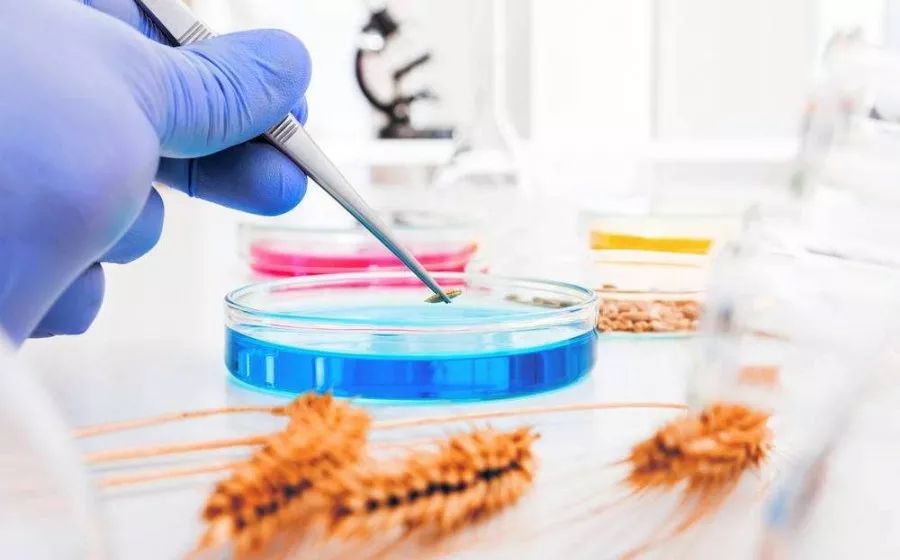 开云体育 开云平台大学各专业就业方向大揭秘!你报的专业以后是干嘛的?(图4) 开云体育 开云平台大学各专业就业方向大揭秘!你报的专业以后是干嘛的?(图4)