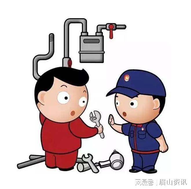 眉山：仁寿某公司的燃气安装费用有差异 多出的费用去哪里了Kaiyun 开云(图2)