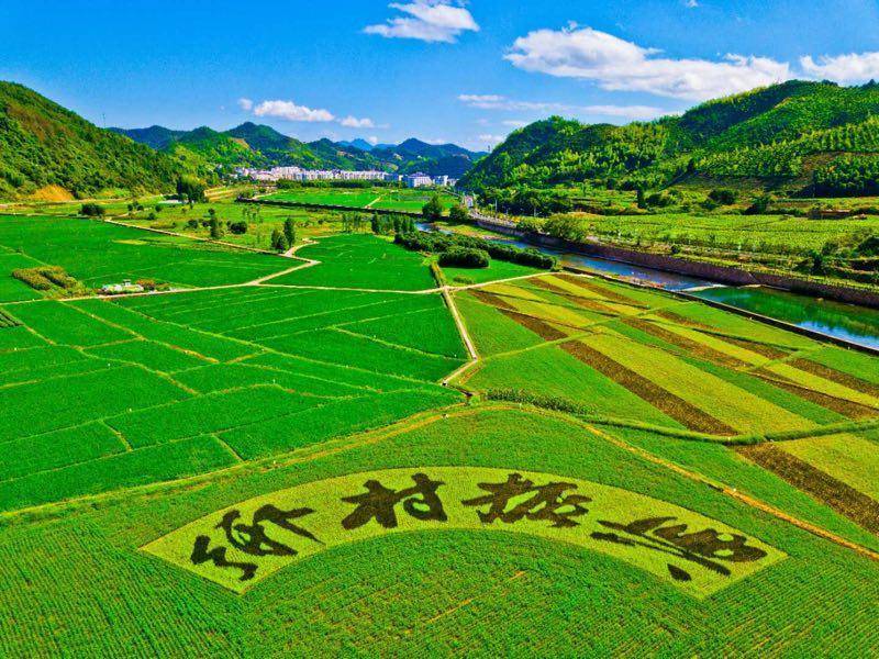 速看！湖北省最新开展招标的建设工开云体育 Kaiyun.com 官网入口程项目清单汇总(图3)